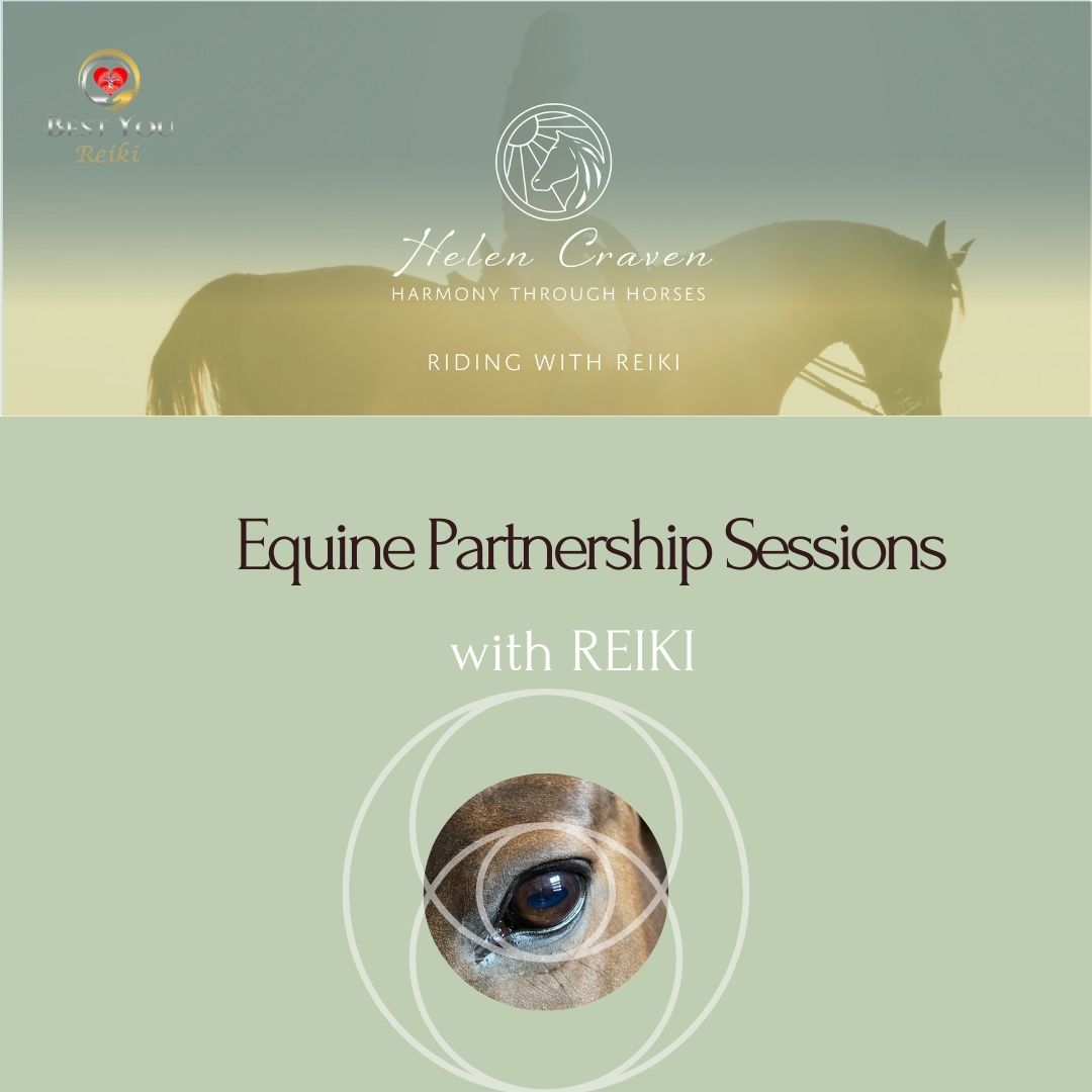 Equine Partnerships