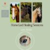 Harmony through Horses with a Horse Led Healing Session